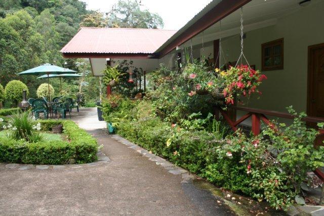 Cielito Sur Bed & Breakfast Inn Cerro Punta Luaran gambar